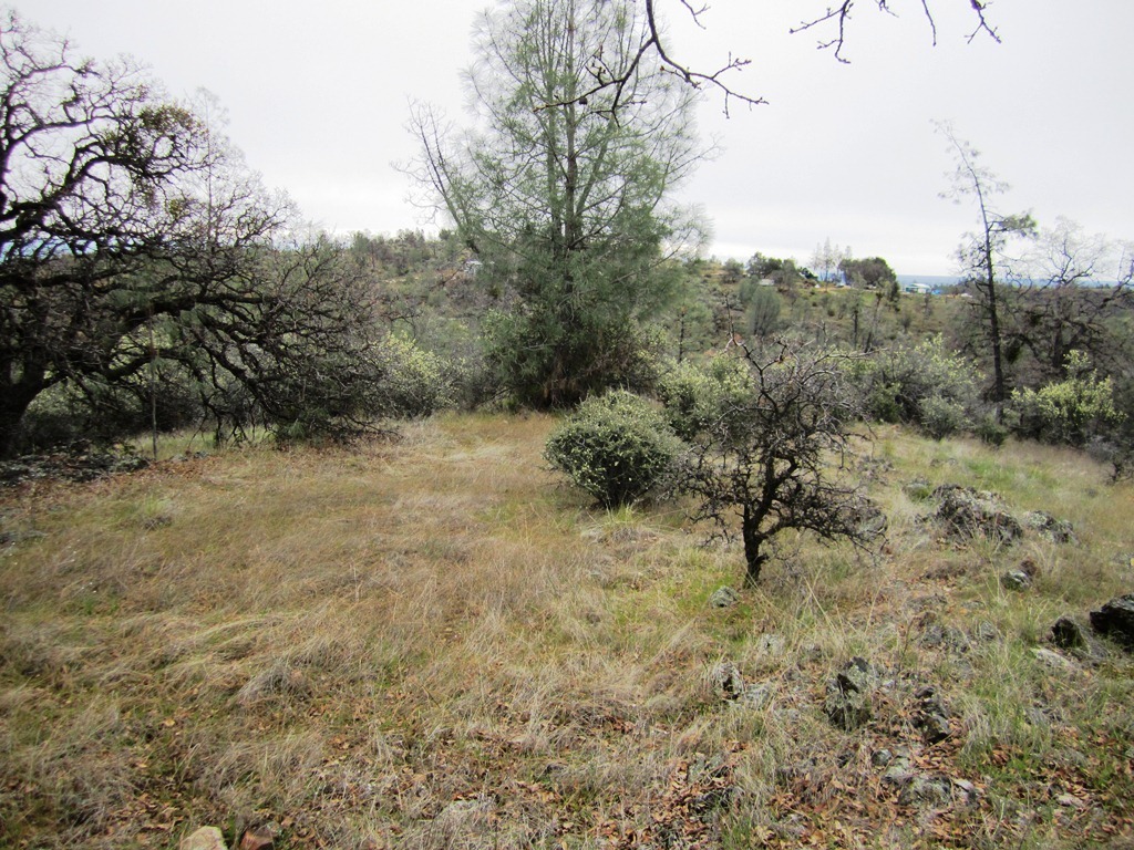 Property Photo:  10 Ac Off Sunny Hill Road  CA 96047 