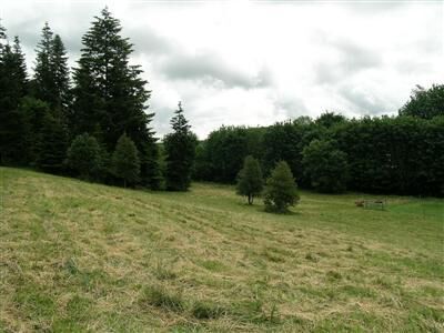 Property Photo:  20019 Bucoda Hwy SE  WA 98531 