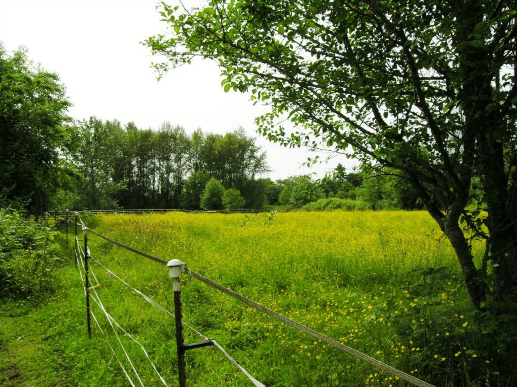 Property Photo:  22424 Old Poplar Wy  WA 98036 