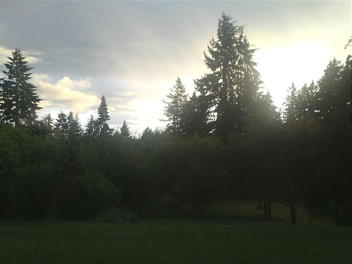 Property Photo: 2104 92nd Avenue NE WA 98004