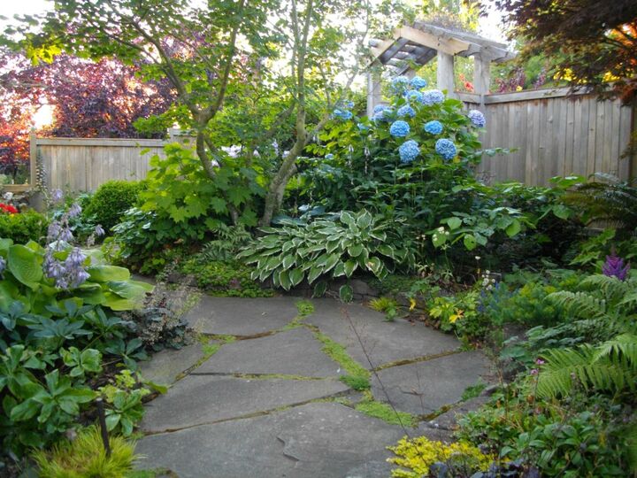 Property Photo:  1808  Knox Avenue  WA 98225 