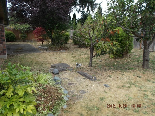 Property Photo:  4905 129th Place NE  WA 98271 