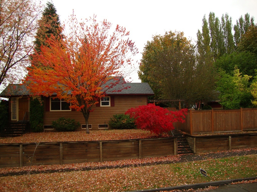 Property Photo:  3202 SW Barton St  WA 98126 