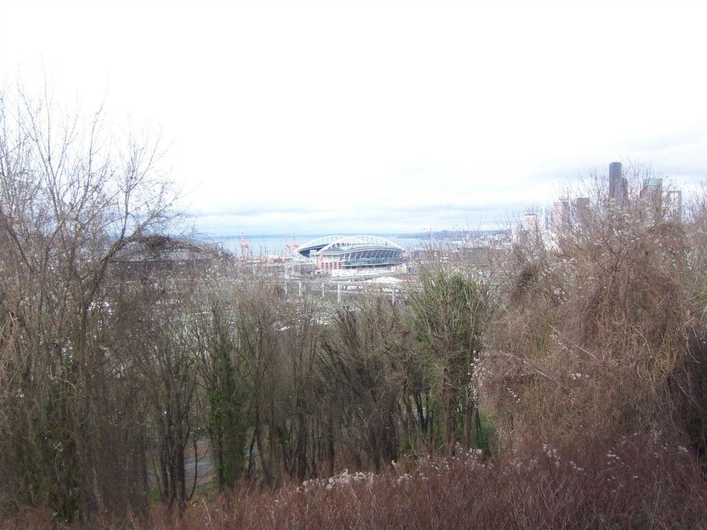 Property Photo:  1111 S Atlantic St 207  WA 98144 
