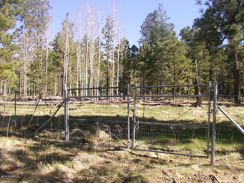 28 Freedline Drive  Flagstaff AZ 86001 photo