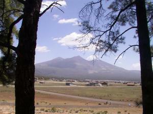 Property Photo:  6300 Galloway  AZ 86001 