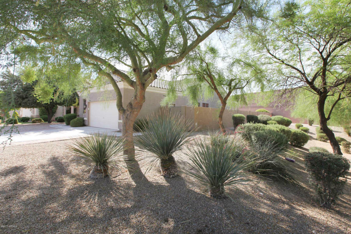 Property Photo:  1040 W Longhorn Drive  AZ 85286 