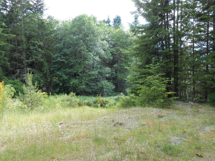 Property Photo: 0lot 6 NW Mountain Vista Lane WA 98383