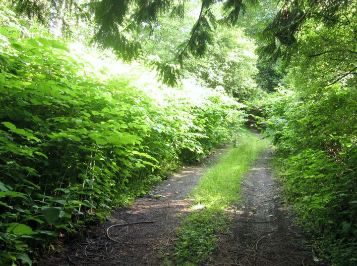 Property Photo:  19612 NE 133rd St  WA 98077 