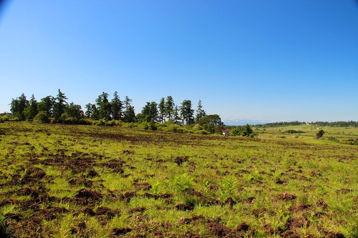 Property Photo: Parcel 6 Douglas Rd WA 98250