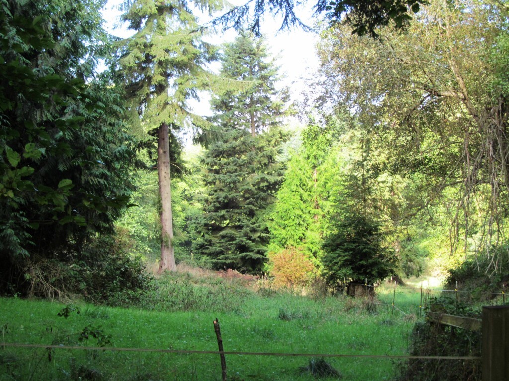 Property Photo:  0xxx Panorama Dr  WA 98249 