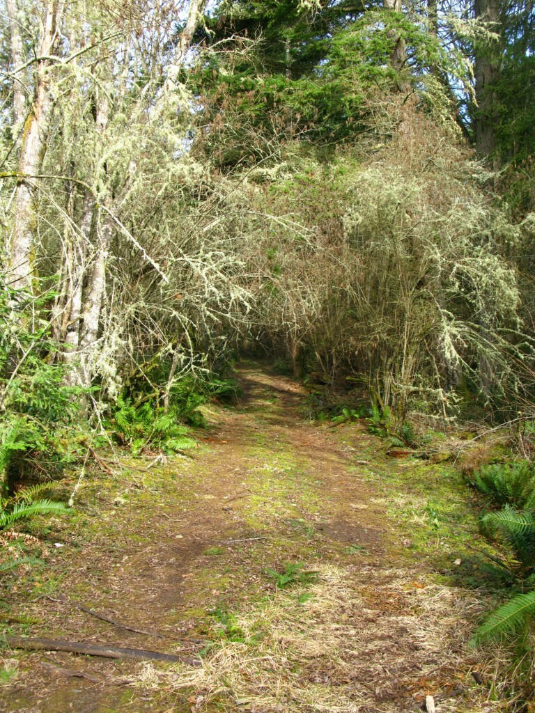 Property Photo:  0 Xxx Smugglers Cove Road  WA 98249 