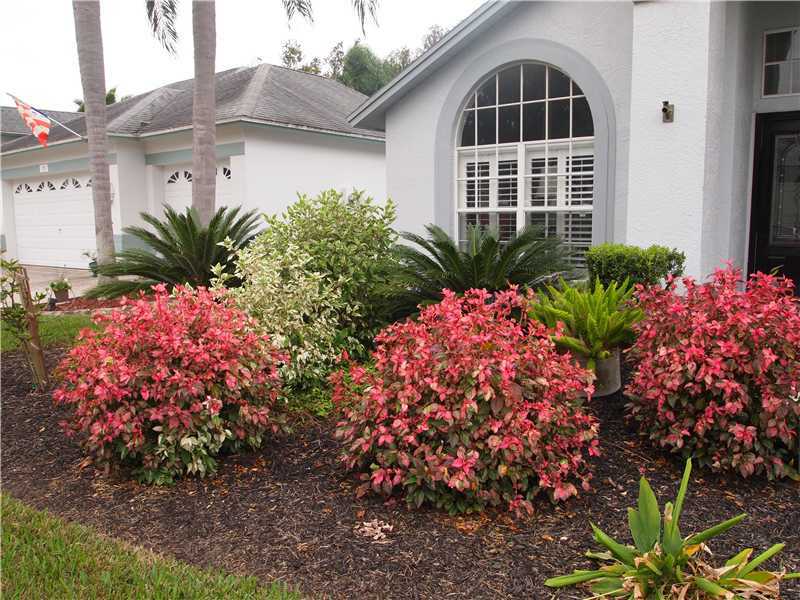 Property Photo:  10004 Colonnade Drive  FL 33647 