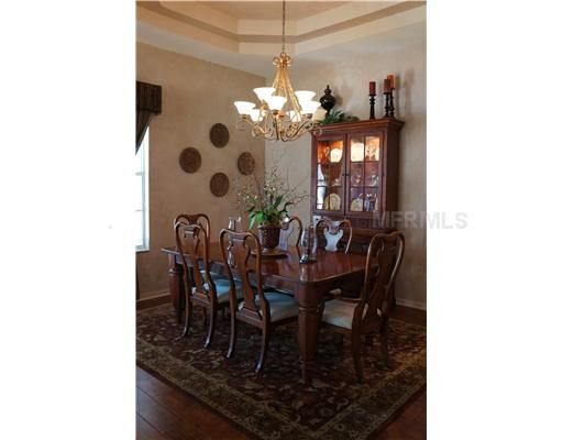 Property Photo:  10510 Brentford Drive  FL 33626 