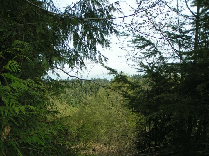 Property Photo: 9999 Sunset Heights Dr WA 98363