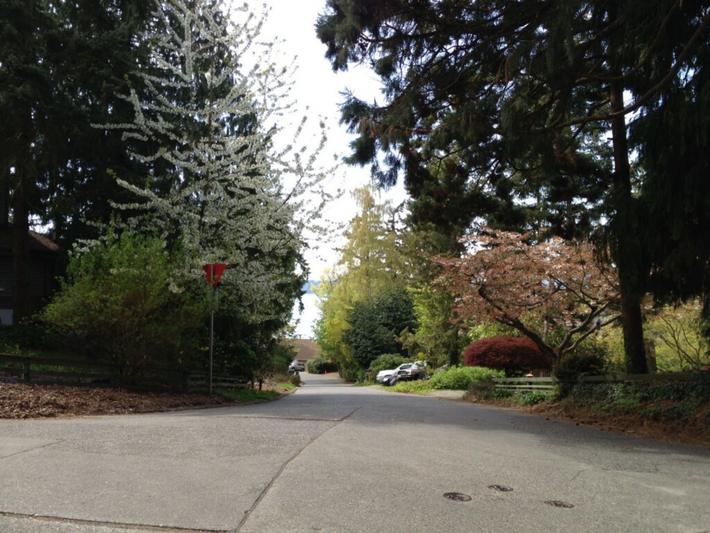 Property Photo: 98xx 47th Ave SW WA 98136