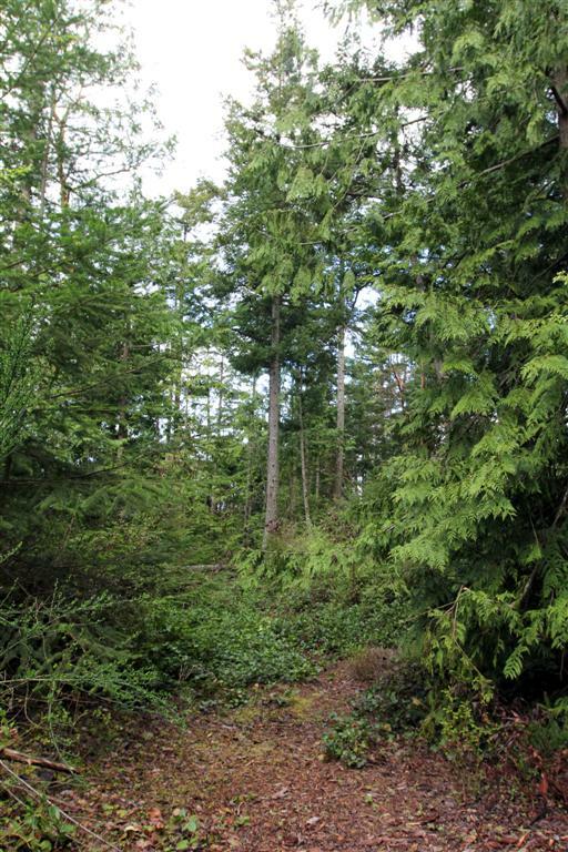 Property Photo:  0 Lot B Marine Heights Wy  WA 98221 