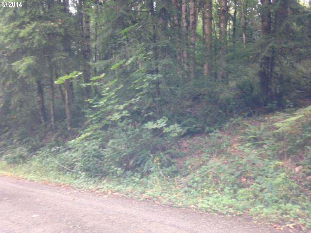 Property Photo: 108 Spencer Creek Rd 1 WA 98625