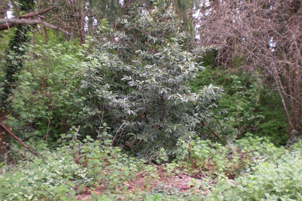 Property Photo: 302 Victor Rd WA 98528