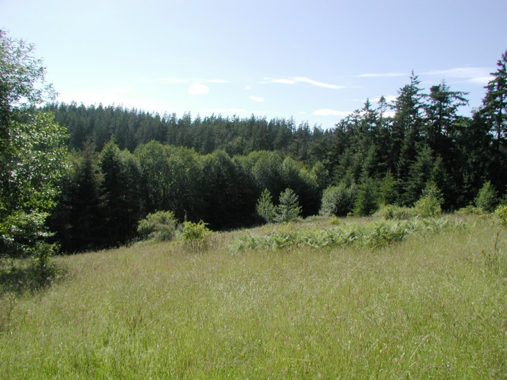 Property Photo:  0 Nhn Edens Rd  WA 98221 