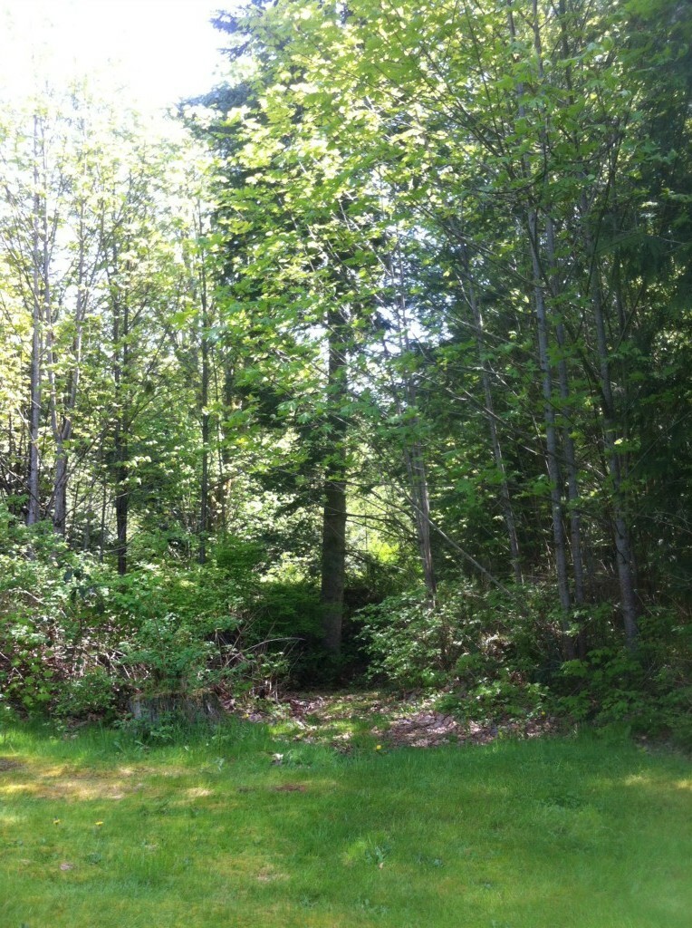 Property Photo:  8118 135th Place NW  WA 98271 