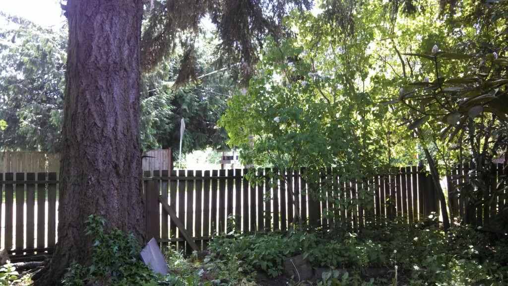 Property Photo:  502 NE 189th St  WA 98155 