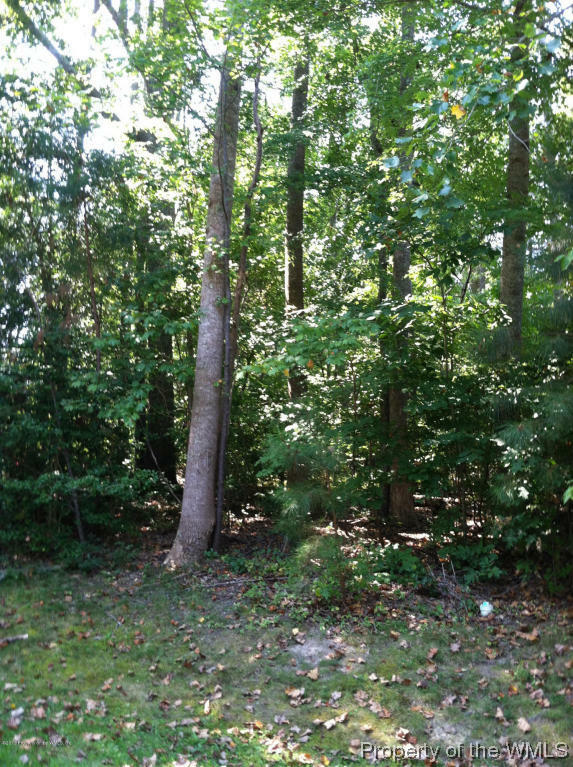 Property Photo:  119 Blackheath  VA 23188 