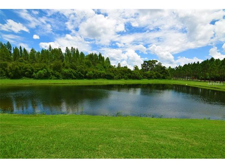 Property Photo:  12430 Belcroft Drive  FL 33579 