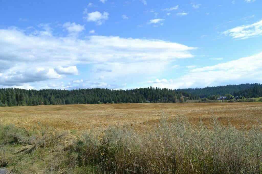 Property Photo: Parcel 36024.9126 (10 Acres) WA 99021
