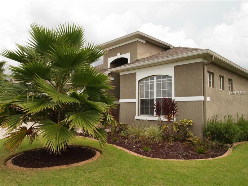 Property Photo:  31542 Bearded Oak Drive  FL 33543 