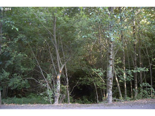 Property Photo: 0 SW Orchaedia Dr OR 97123