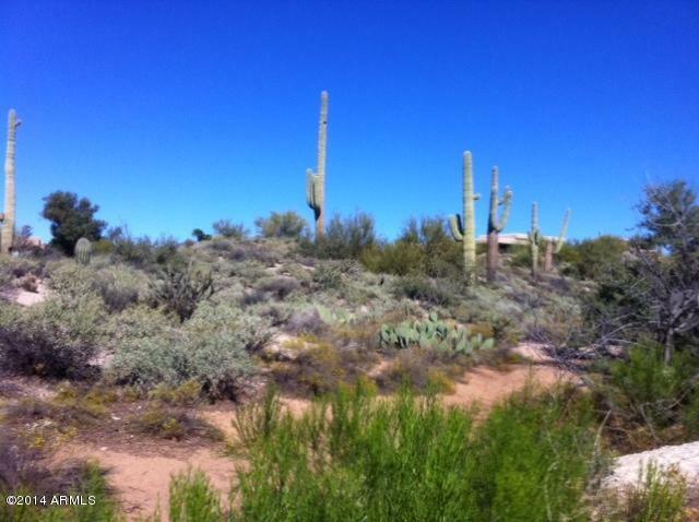 Property Photo:  2156 E Quails Nest Lot 137 Drive E 137  AZ 85377 