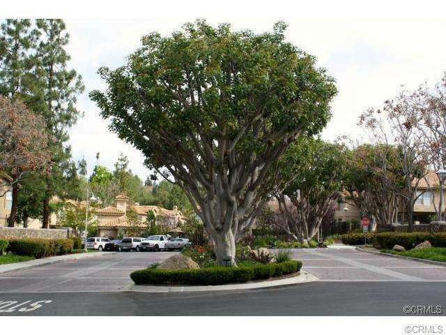 Property Photo: 110 Fulmar Lane CA 92656