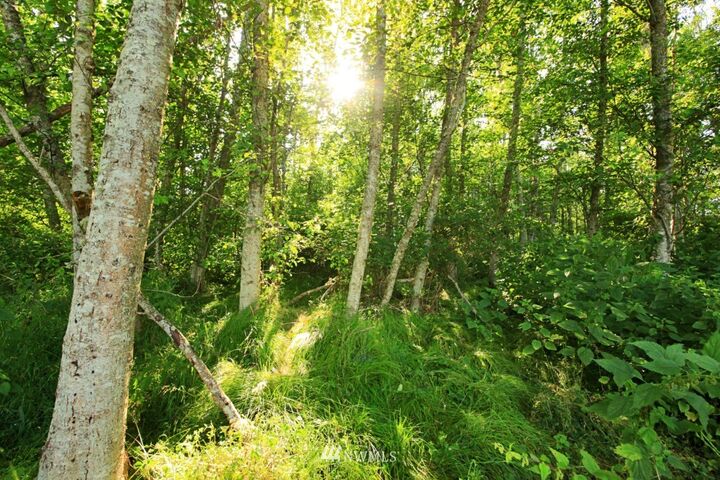 Property Photo:  111 Harbor Hills Drive  WA 98249 