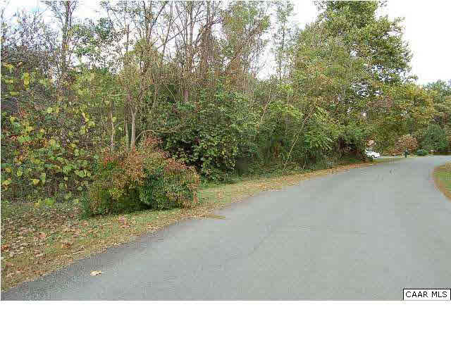 Property Photo:  Old Farm Rd Lot 304  VA 22968 