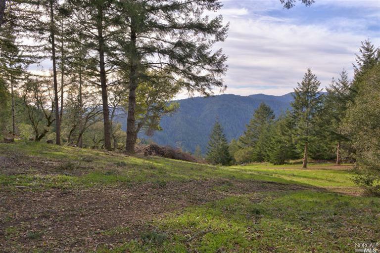Property Photo: 22453 Highway 116 CA 95462