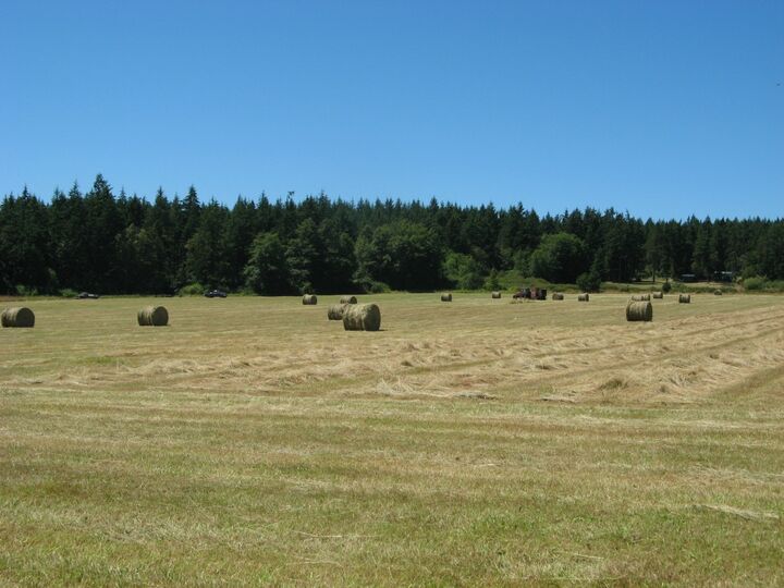 Property Photo:  777 Lopez Sound Rd  WA 98261 