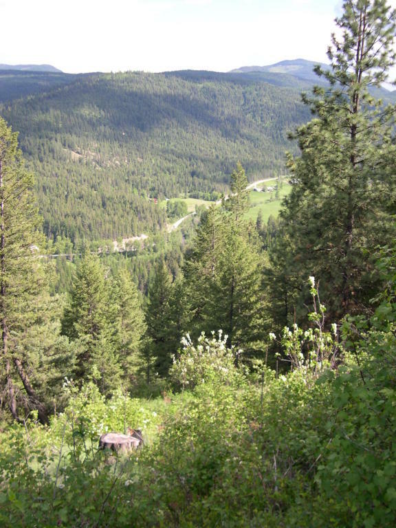 Property Photo:  2350 Aladdin  WA 99114 