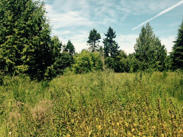 99999 Rickarla  Port Angeles WA 98363 photo