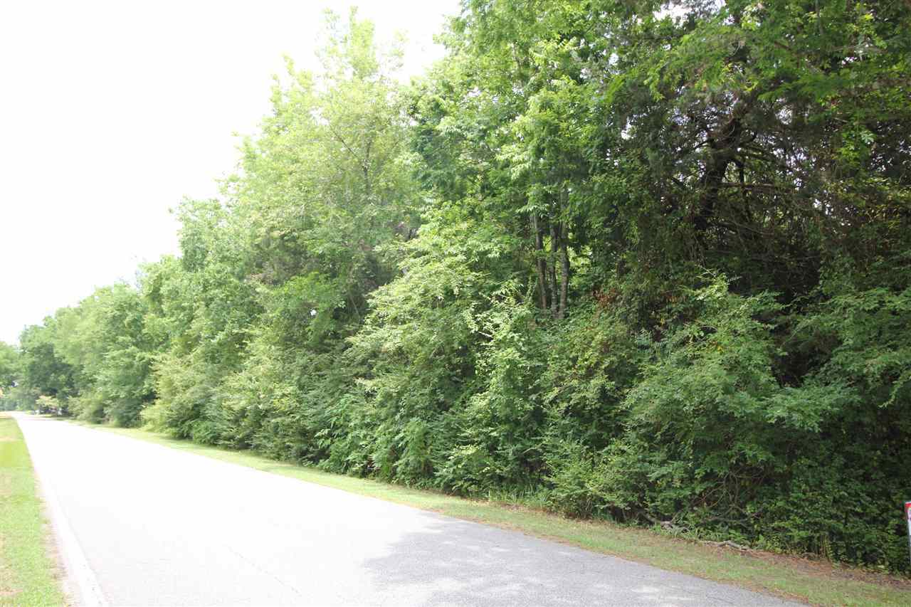 Property Photo:  Tbd Waterlily Road  NC 27923 