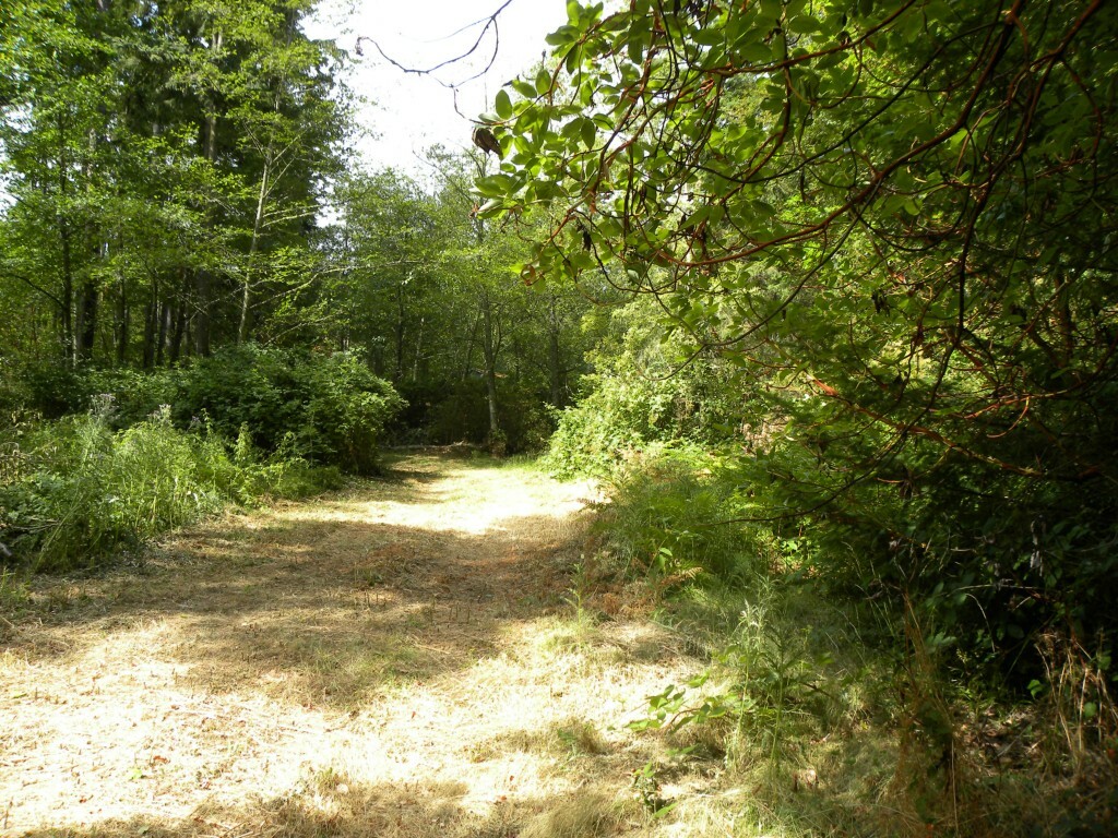 Property Photo: 251 Goodrich Rd WA 98282