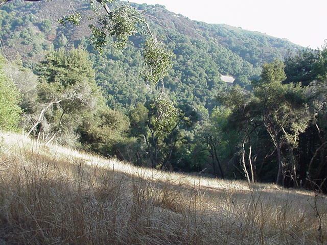 Property Photo: 18555 Black Road CA 95033
