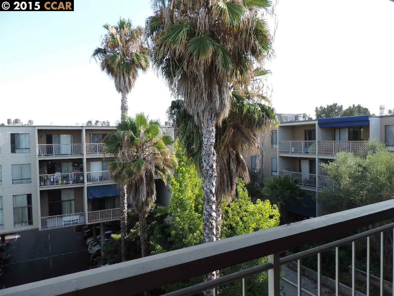 Property Photo:  430 N Civic Drive 503  CA 94596 