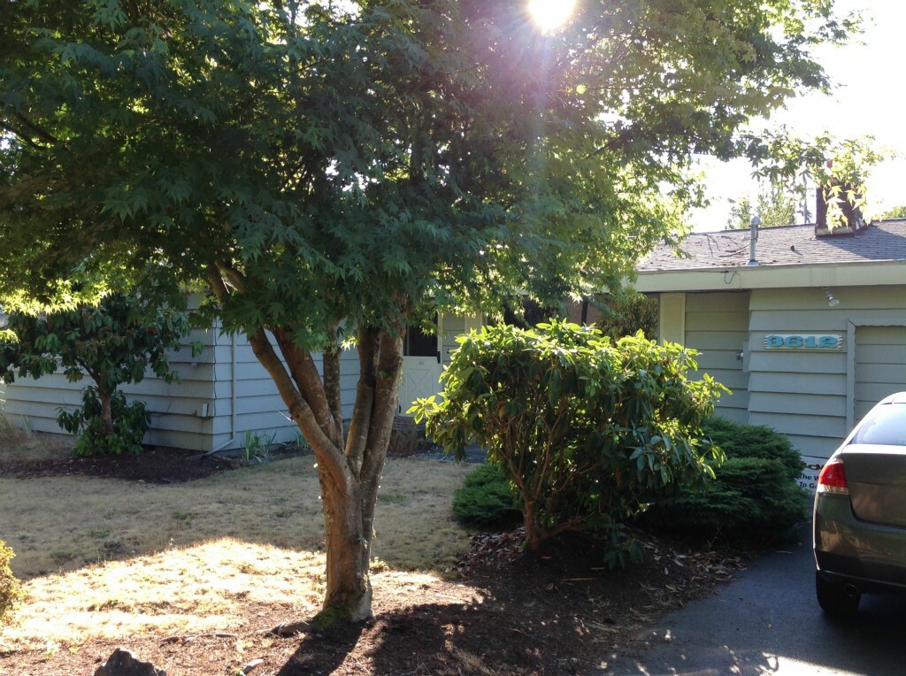 Property Photo:  3612 Crestview Dr W  WA 98466 