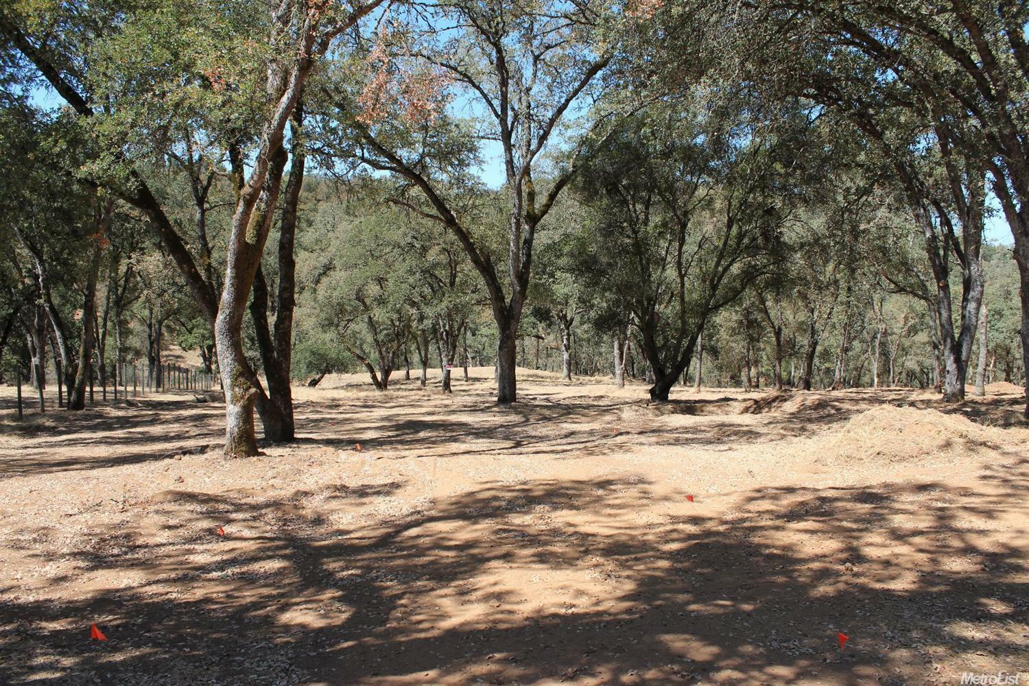 Property Photo:  5350 Grassy Run Road  CA 95667 