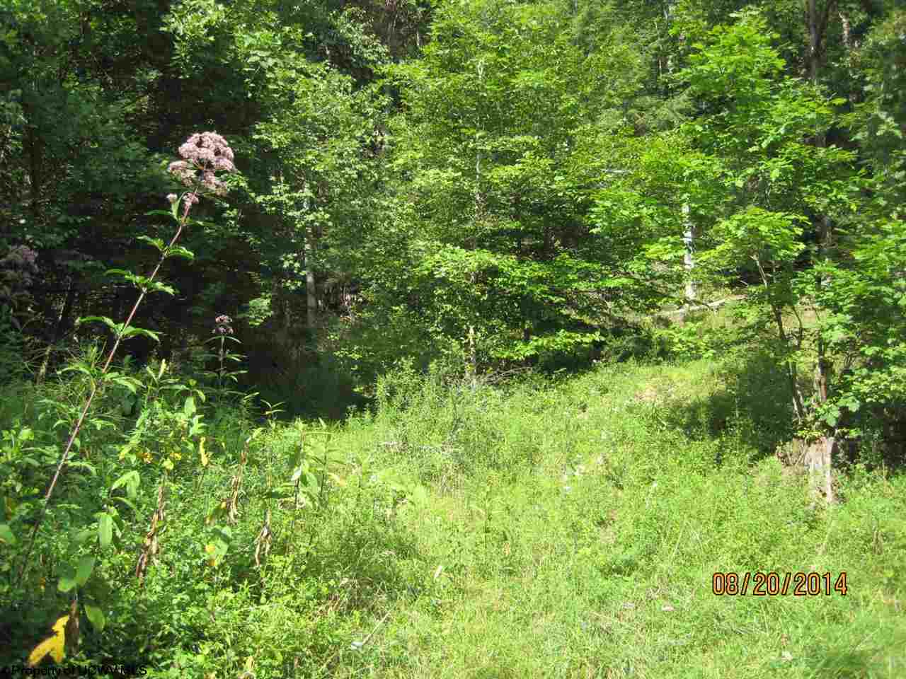 Property Photo: 00 Left Cherry Fork Rd WV 26283