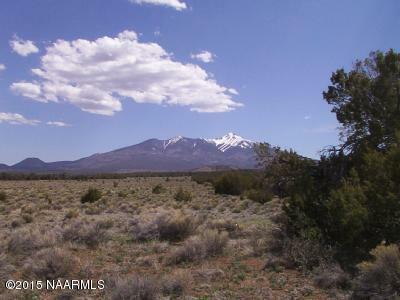 Property Photo:  0 Indian Flats  AZ 86004 