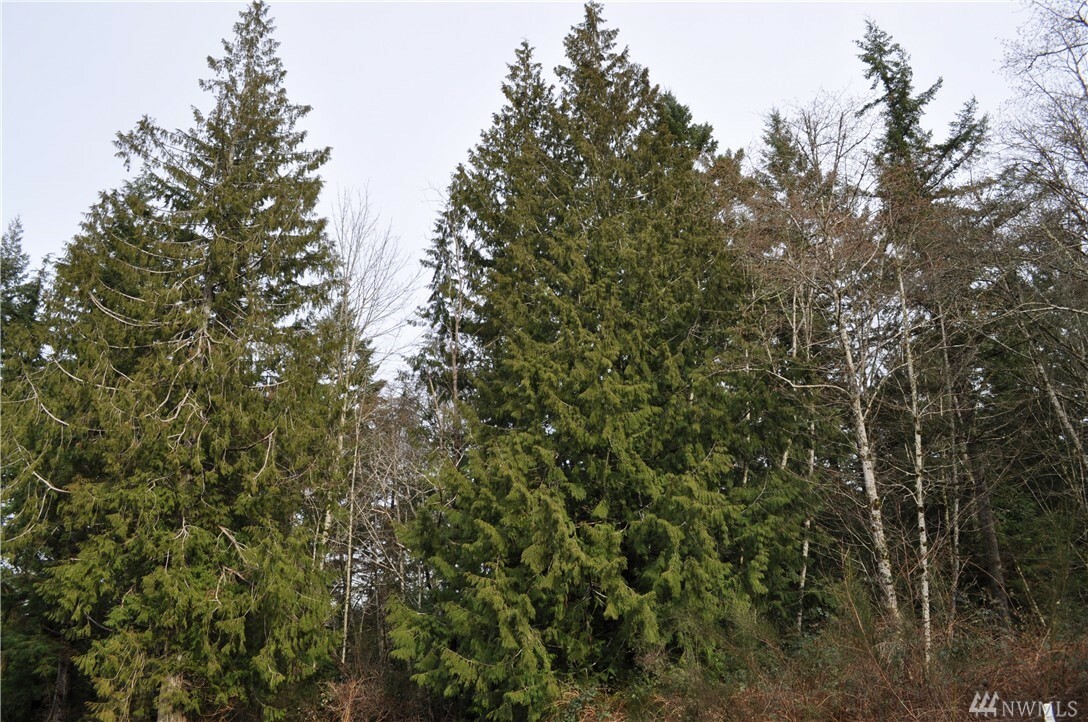 Property Photo: 15912 28th St NW WA 98332