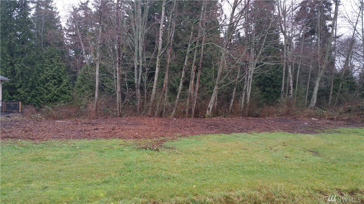 Property Photo:  0 Chilliwack Rd  WA 98230 