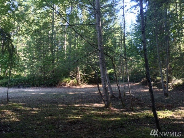 Property Photo:  7008 238th Ave NE  WA 98053 